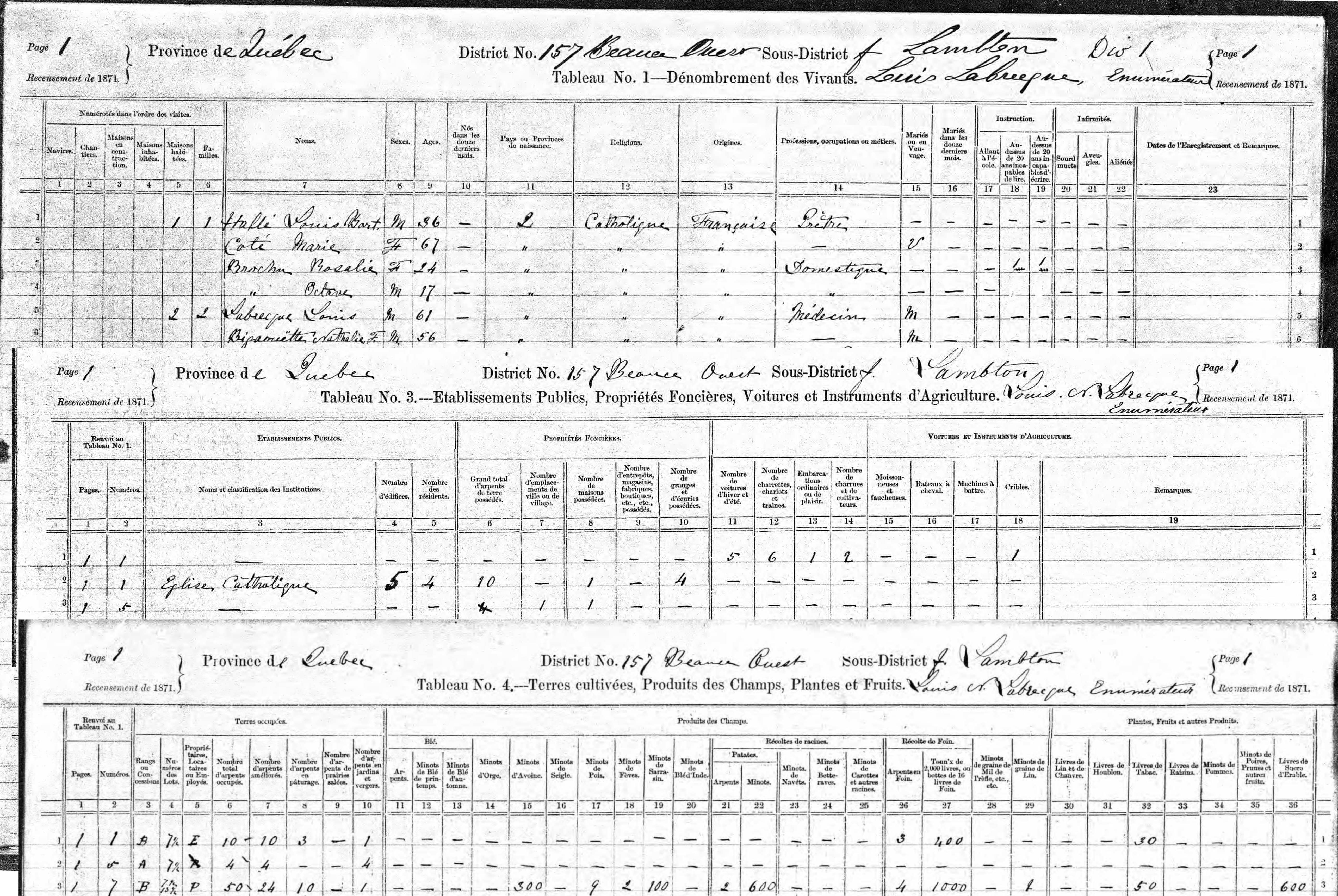 Extrait du recensement canadien de 1871. On y montre plusieurs tableaux nous permettant de connaître les conditions de vie des gens de cette époque dont leur patrimoine immobilier et sa localisation précise.