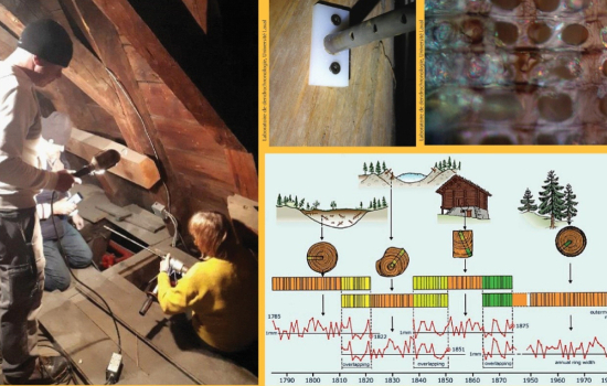 La dendrochronologie au service du patrimoine bâti