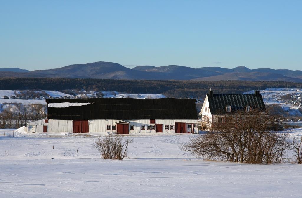 Grange longue vernaculaire du Québec à multiples fonctions agricoles. Photo : Arthur Plumpton.