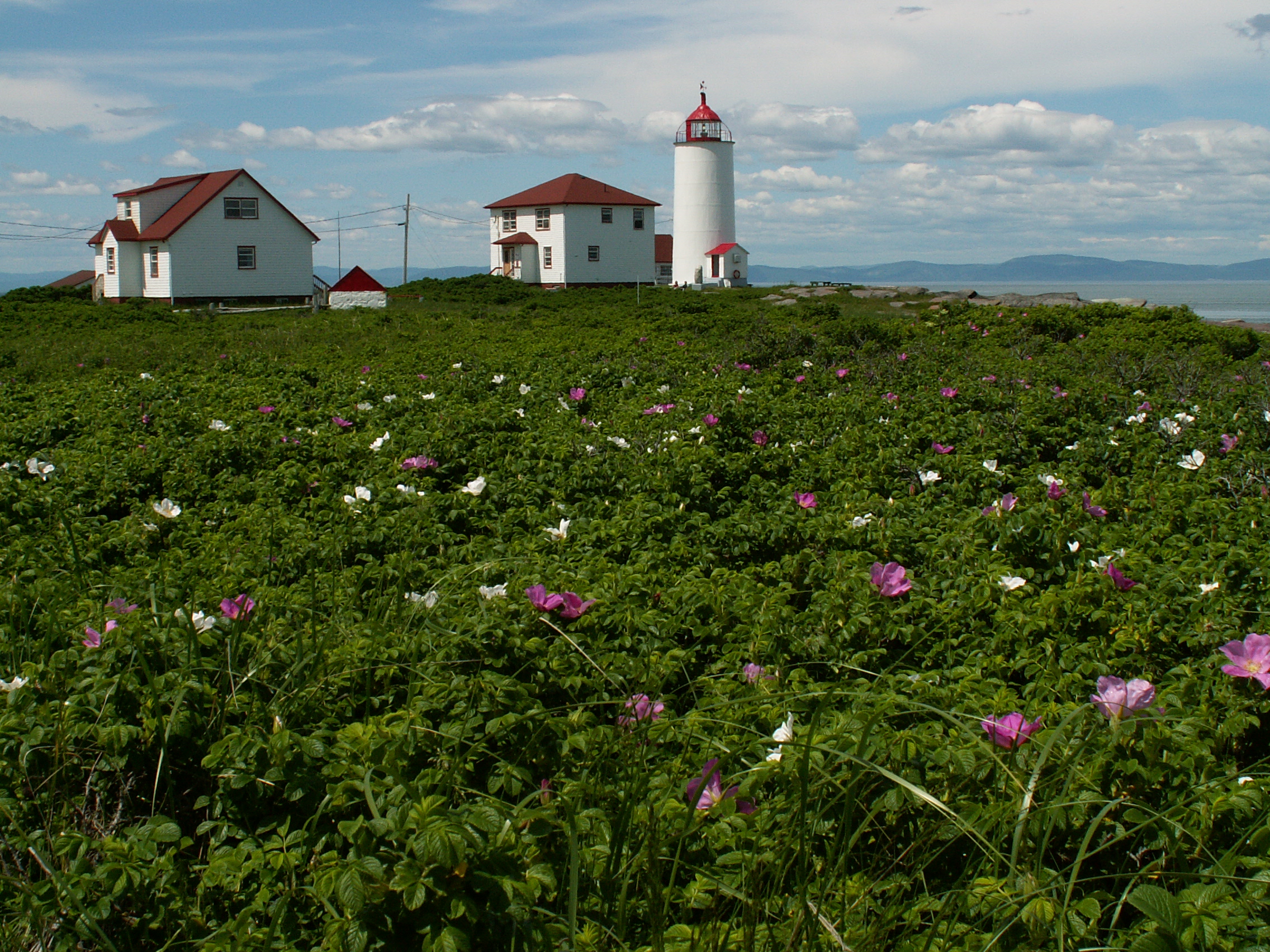 8. Le phare de l’Île Verte et les deux résidences construites dans les années 1960. Photo : Jean Cloutier