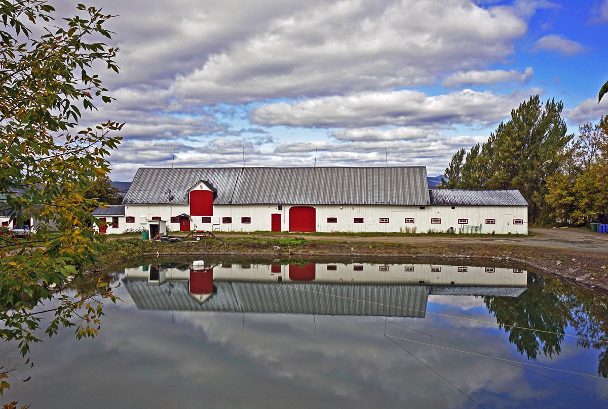 1. Réflexion sur une architecture québécoise traditionnelle