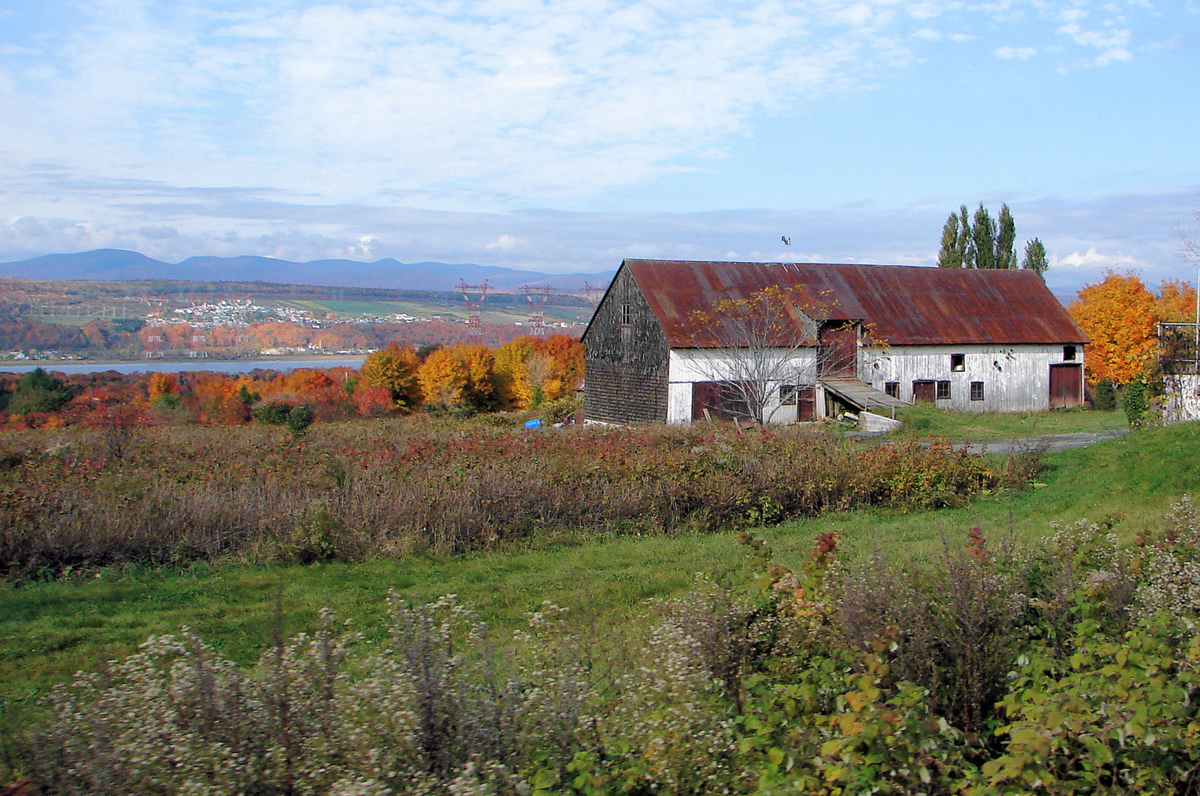 6. Grange longue québécoise surélevée de la ferme viticole Monna à Saint-Pierre