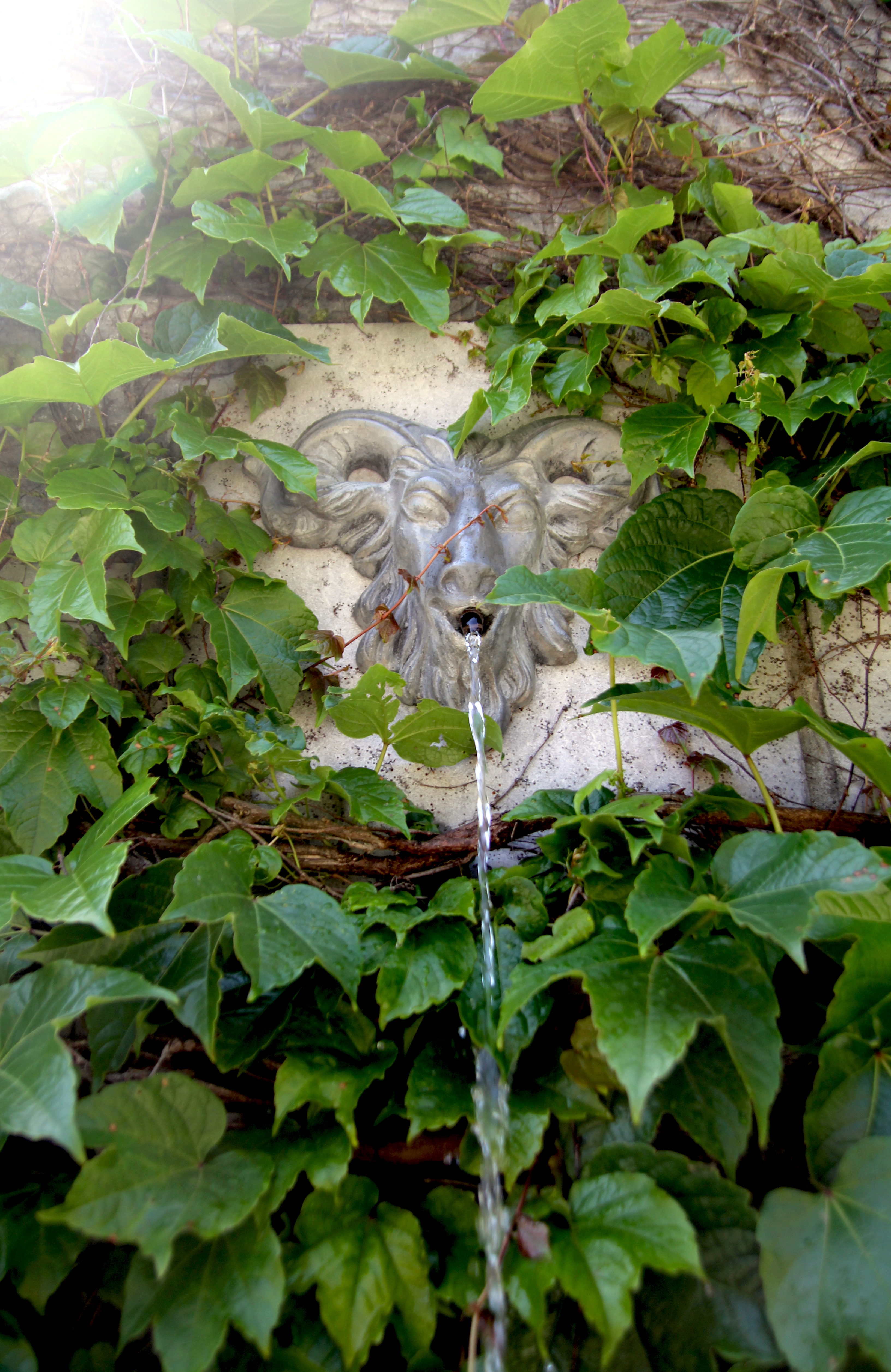 Jardin du Château Ramezay. Crédit photo :Maude Deblois