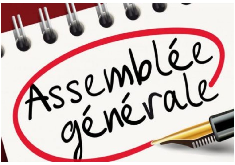 Assemblée générale annuelle en visioconférence