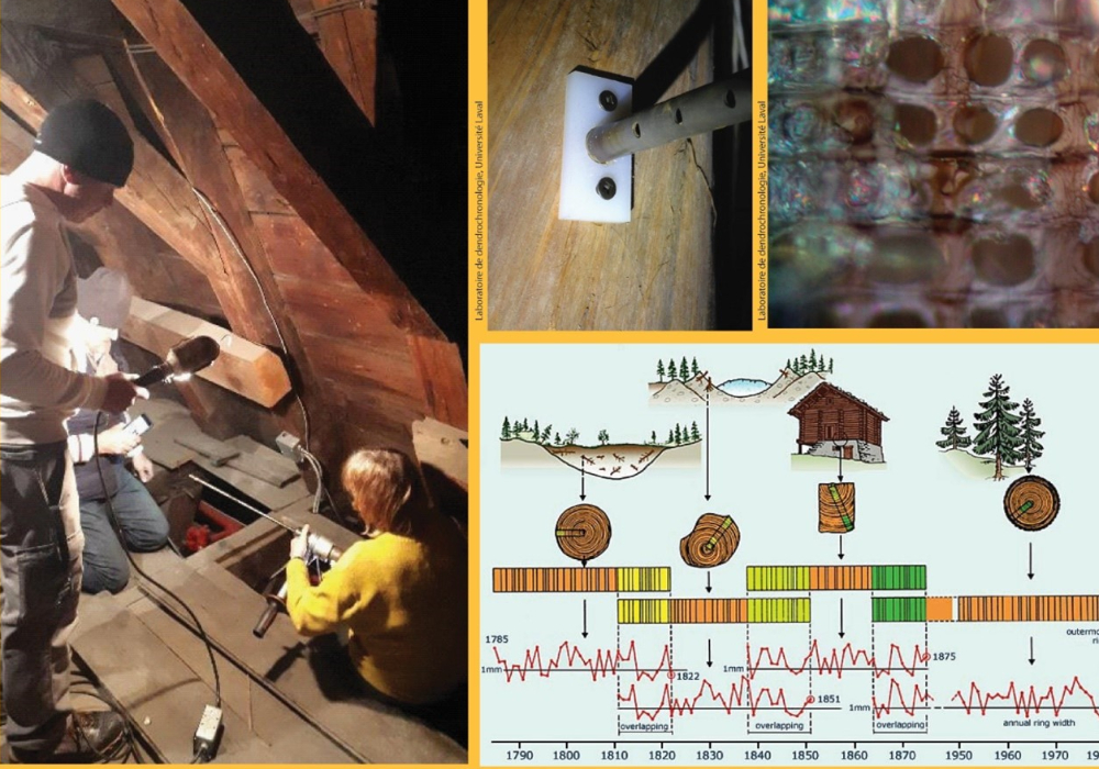 La dendrochronologie au service du patrimoine bâti