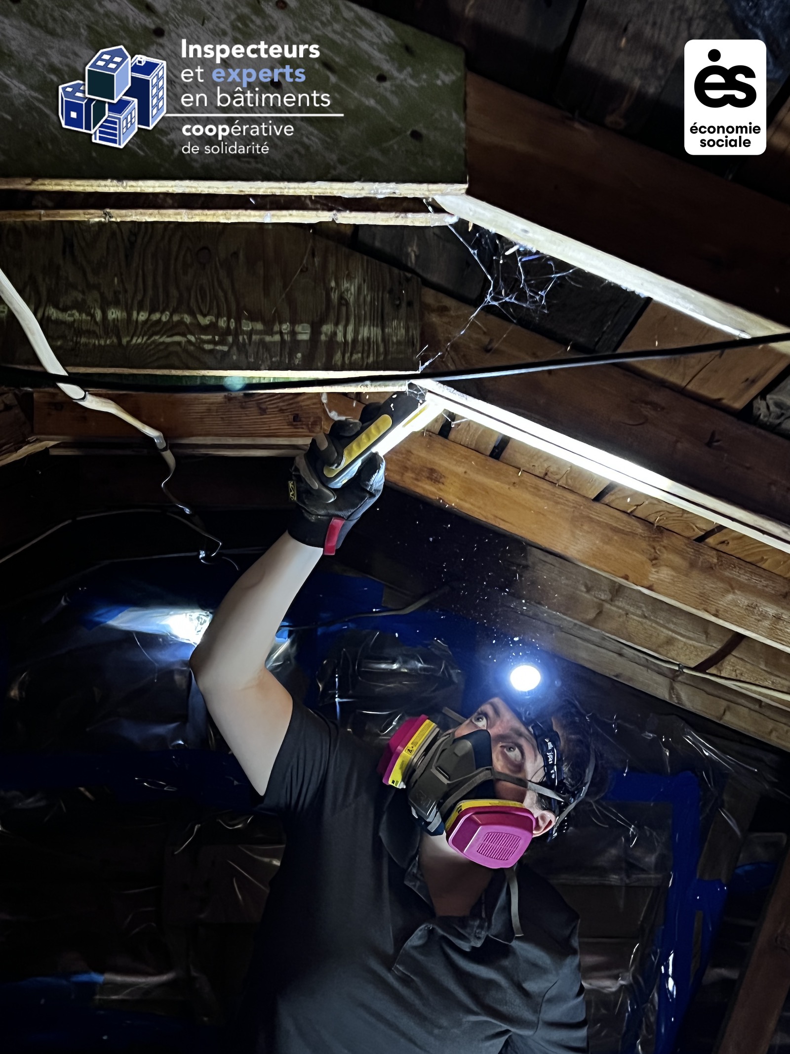Inspecteurs et experts en bâtiments coopérative de solidarité