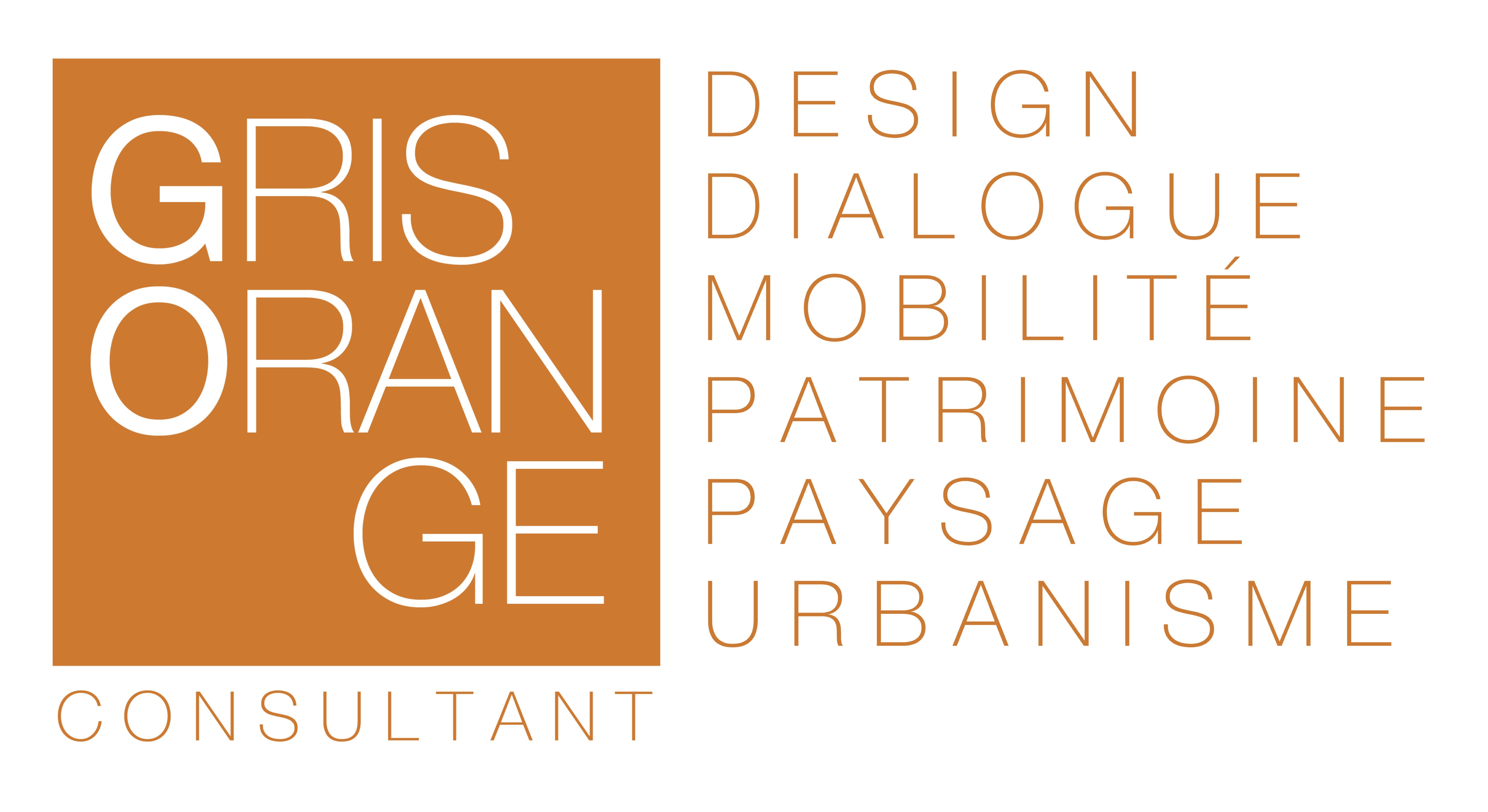 Gris Orange Consultant 